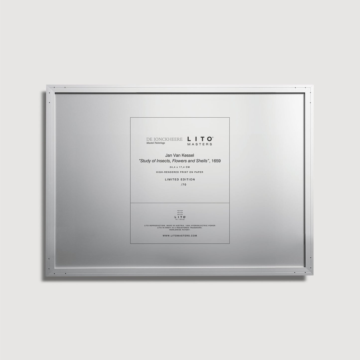 Jan van Kessel - Study of Insects, Flowers and Shells