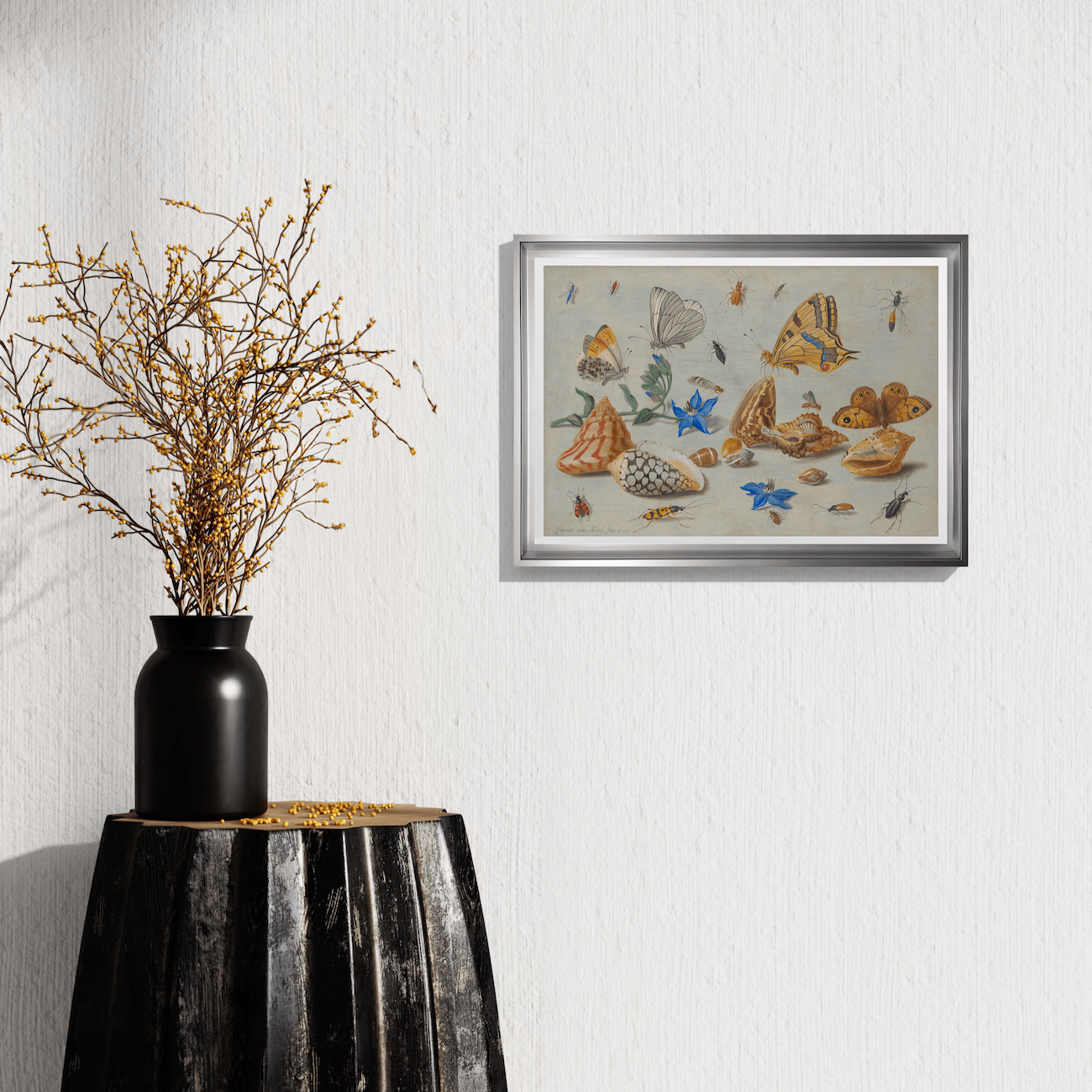 Jan van Kessel - Study of Insects, Flowers and Shells